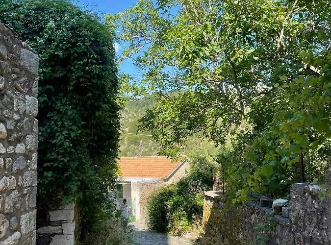 Rodanthe's Stemnitsa