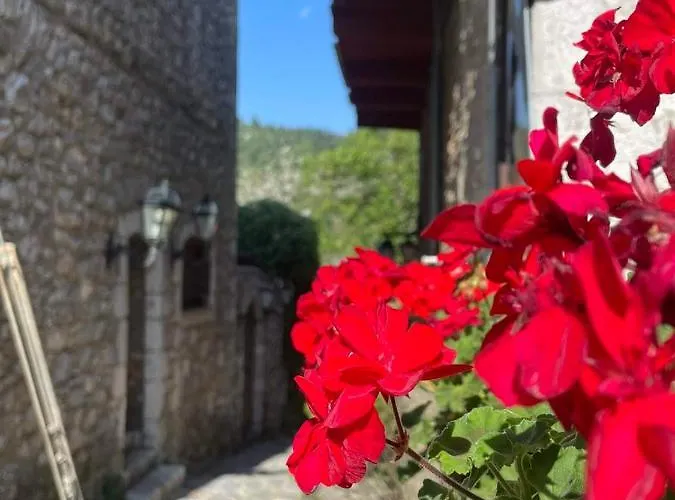 Lejlighed Rodanthe's